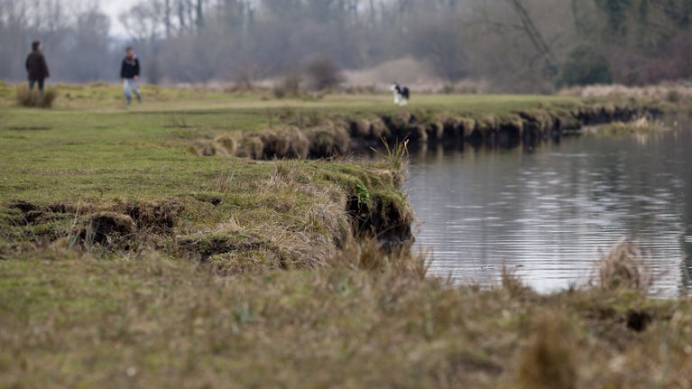 Stockbridge Marsh Hampshire National Trust stockbridge-marsh-hampshire-national-trust
